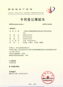专利19