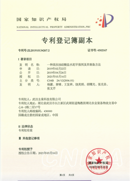 专利20