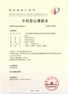 专利21